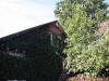klindworths_aussen_04